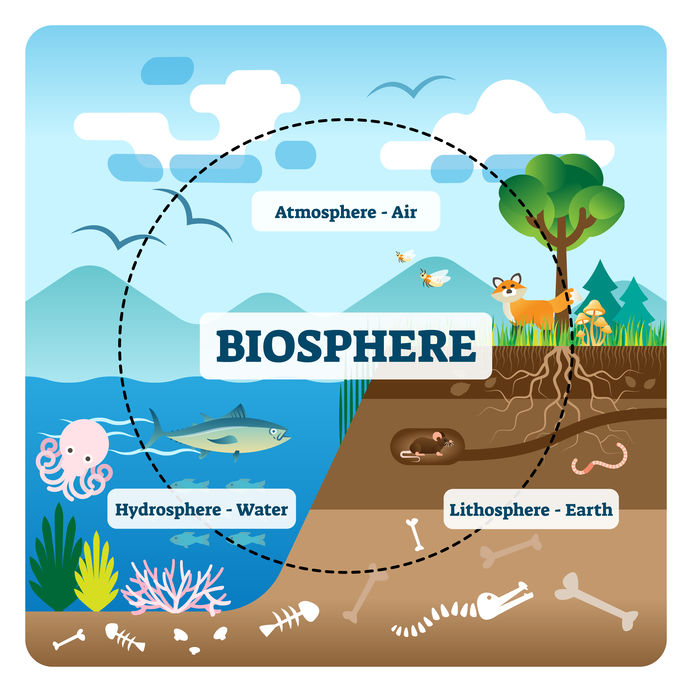 Biosphere vector illustration. Labeled all natural ecosystems with wildlife. Educational example with atmosphere, hydrosphere and lithosphere. Sustainable biodiversity and animal friendly environment.